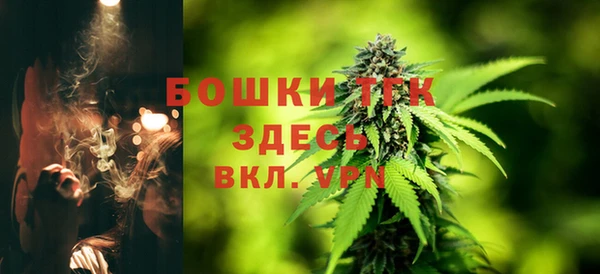 сатива Абдулино