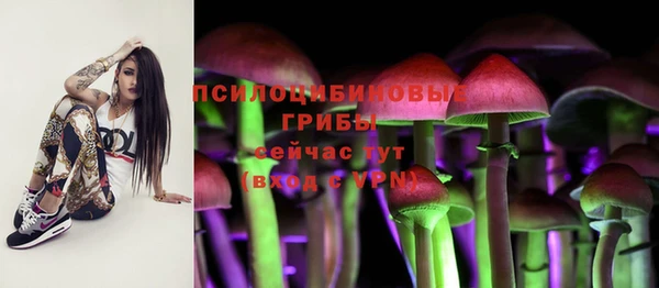 герыч Алексин