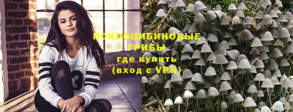 сатива Абдулино